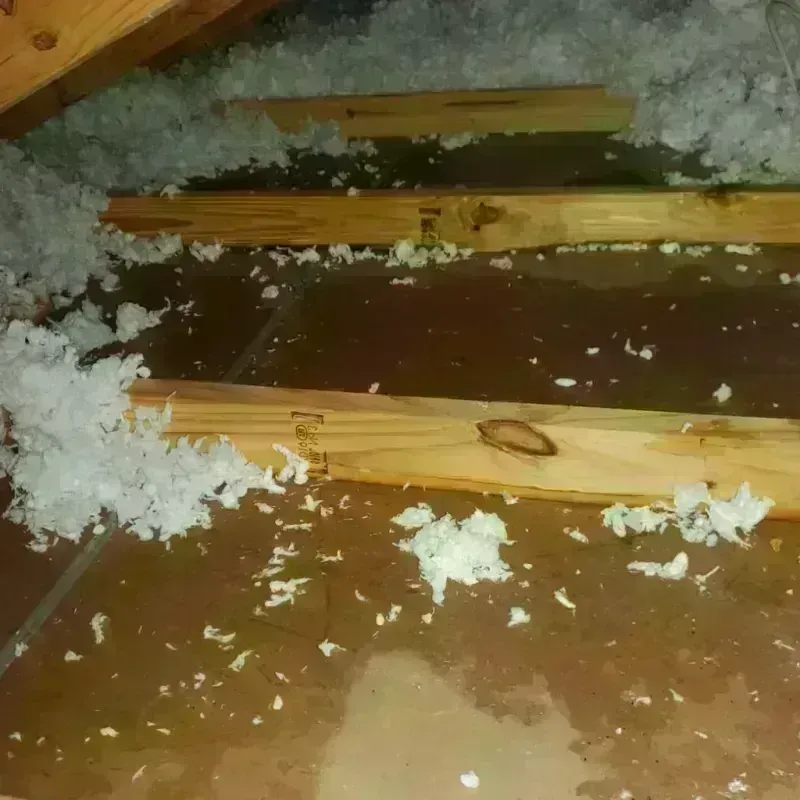 Attic Water Damage in Benavides, TX